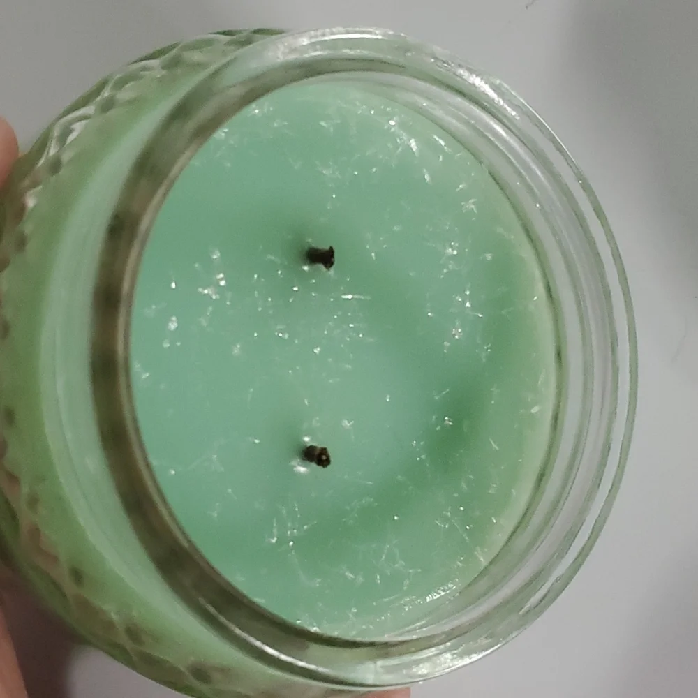 OLD FASHIONED MINT ICE CREAM small/8 oz Gold Canyon‎ two-wick candle
